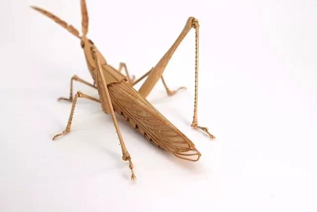 日本大叔超逼真昆虫模型 连博物馆都用来展览